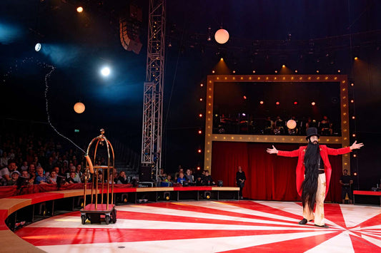 Cirkus Summarum 2022