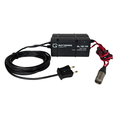 RC Battery Charger 2x10A